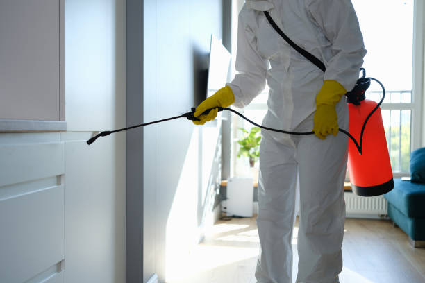Best HVAC Mold Inspection and Cleaning  in Akron, NY